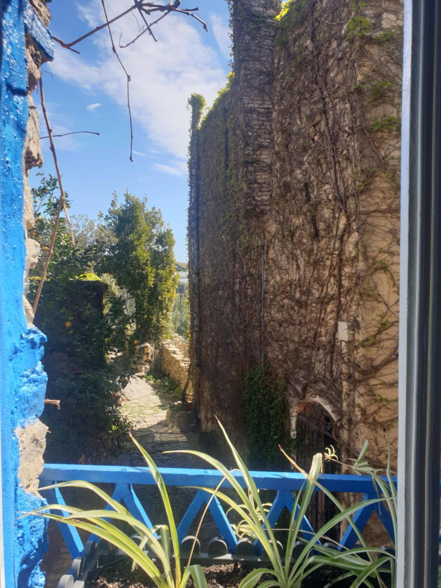 圣雷默Casa Di Ingrida Bussana Vecchia别墅 外观 照片